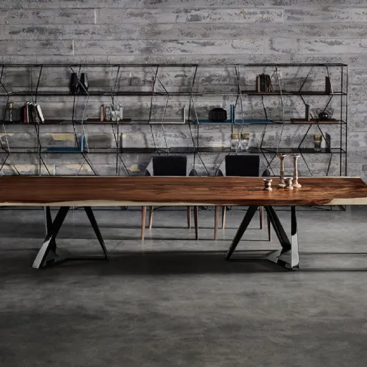Libreria Lexington di Bontempi