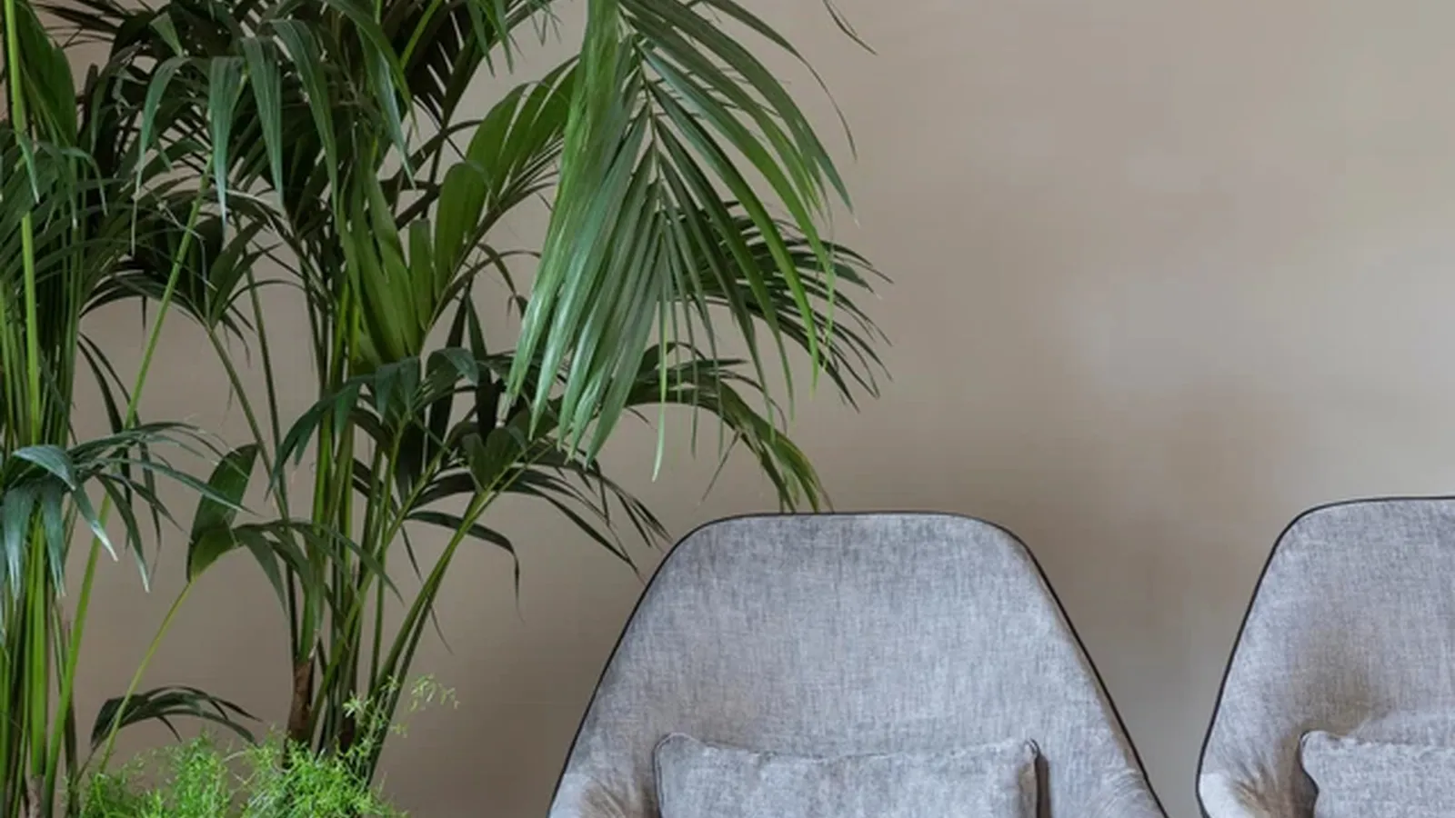 Poltroncina Gran Kobi di Alias