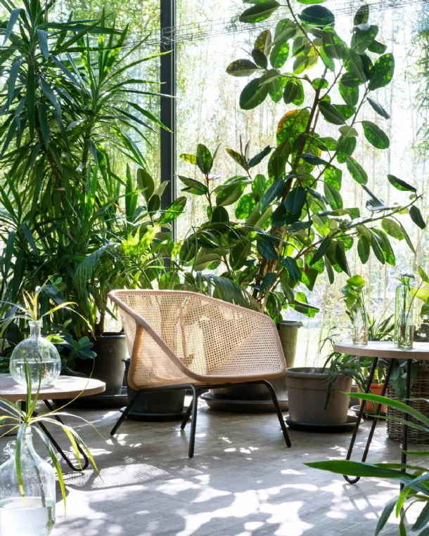 Poltroncina Colony Armchair di Miniforms