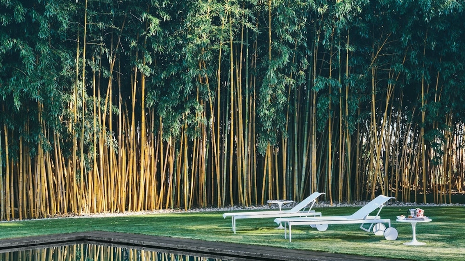 Lettino da giardino 1966 Adjustable Chaise Lounge di Knoll