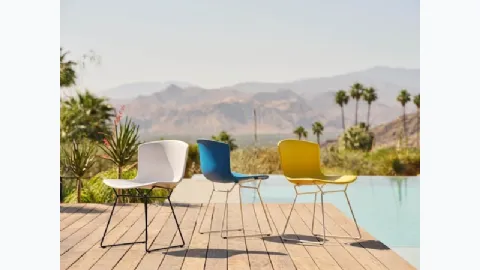 Sedia Bertoia Molded Shell Side Chair di Knoll