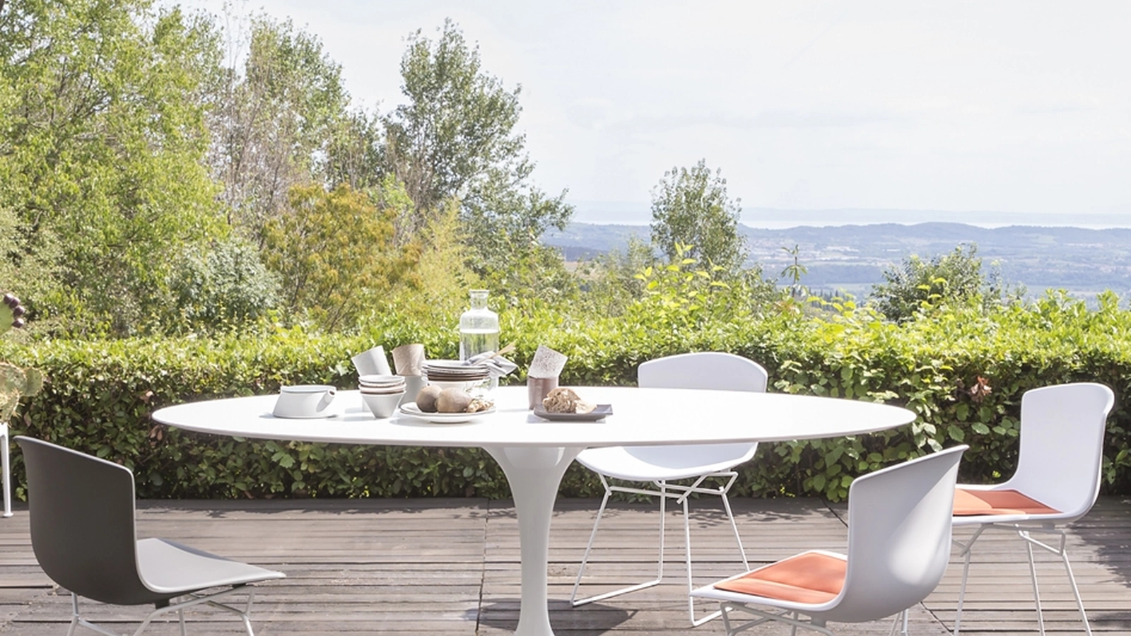 Sedia Bertoia Plastic Side di Knoll